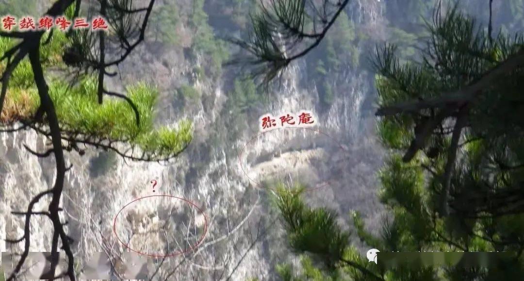 看在三的情面上再给你剪80可是我不想他懂的他们是朋友？